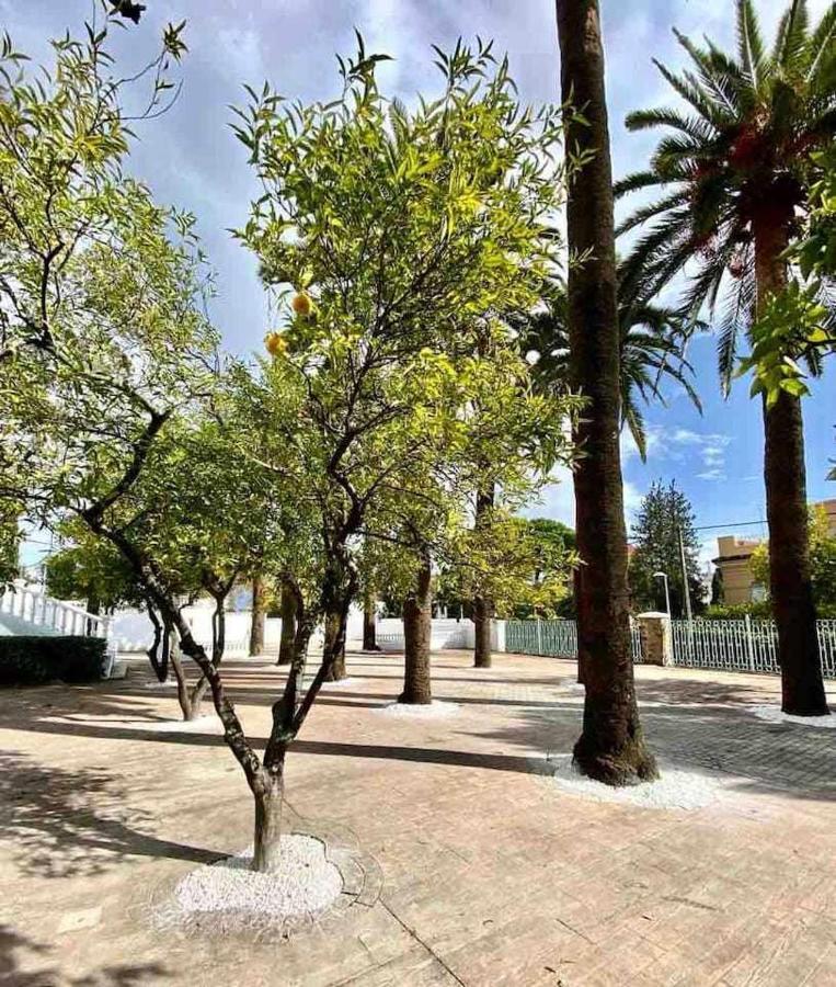 Appartement Nuevo Los Almendros 204 Complejo Turistico à Cordoue Extérieur photo