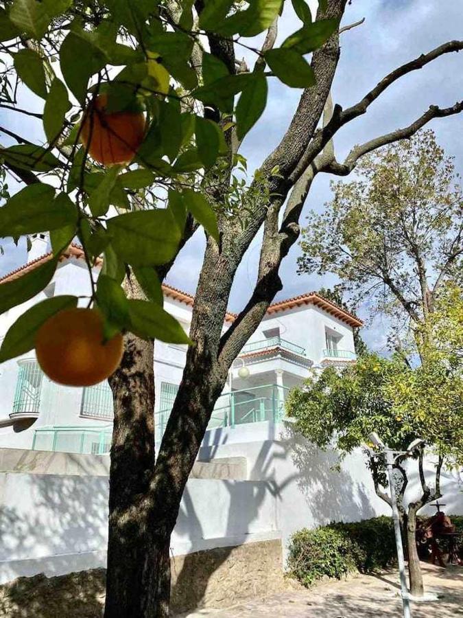 Appartement Nuevo Los Almendros 204 Complejo Turistico à Cordoue Extérieur photo